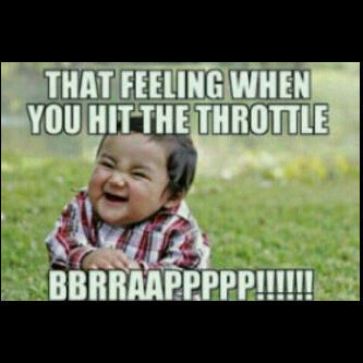 katzdaboss's profile picture. 