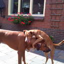 John Speelman - @Keppel11 - Twitter