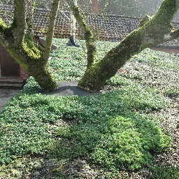 greenroof4all's profile picture. Robin Oakey has been developing a unique green roofing system by studying how plants grow in a harsh environment on roofs, using 100% recycled materials.