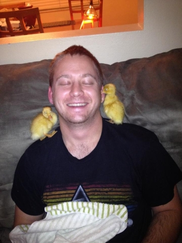 bmfjoe1911's profile picture. 