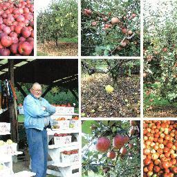 SaveBurchamFarm's profile picture. I'm Seth Hurlbert. I am trying to save my grandparent's fruit farm near Gettysburg, PA. I'll do ANYTHING (legal) to keep the apples locally grown and owned.