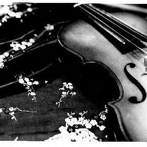 kievenzo's profile picture. Ser o No ser, esa es la kuestion