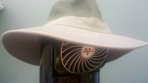 abomineer's profile picture. 