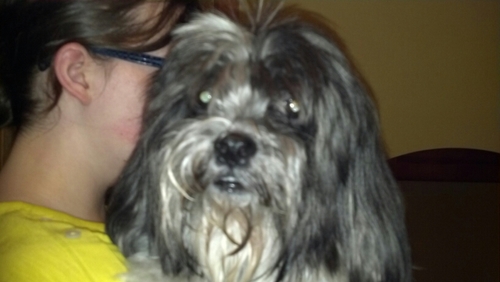 outlaw_daisy's profile picture. 