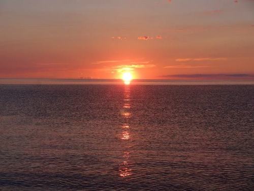 SawjanJanice's profile picture. 