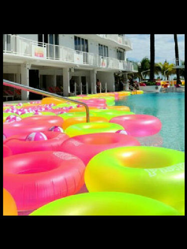 dno84m's profile picture. 