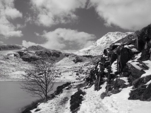 NorthWalesHills's profile picture. Running, hiking, photographing and dawdling round the North Wales countryside.