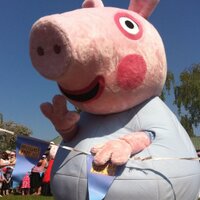 Chris mercer (@mercephysio) 's Twitter Profile