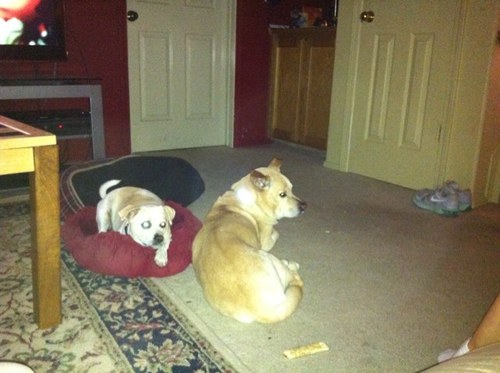 Lolo88Sanders's profile picture. 