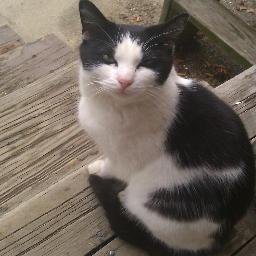 DontTalkToTobey's profile picture. Im Tobey! I love bitches and bottles