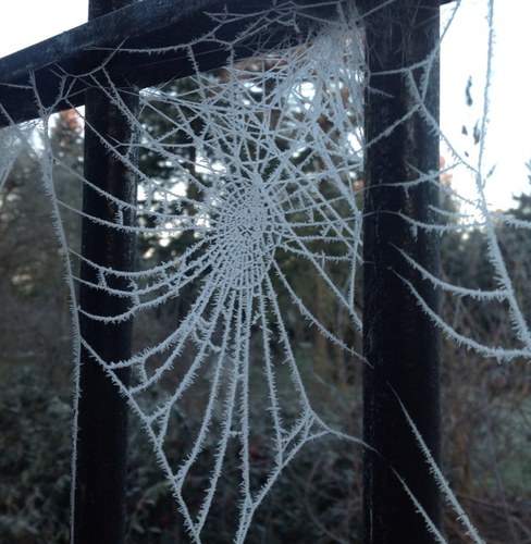 StuartJack3's profile picture. Cambridge. All views my own.