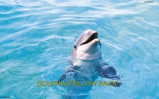 Follow me and i will follow you back straight away! account dedicated to following back!
