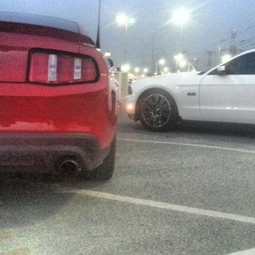 IKARUS_94's profile picture. 