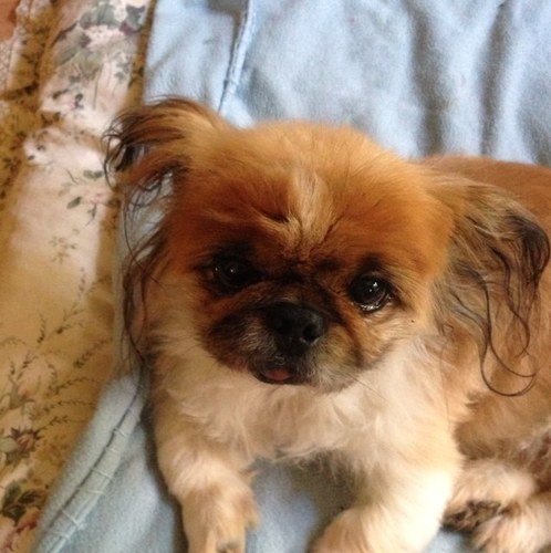 USerfontein's profile picture. 