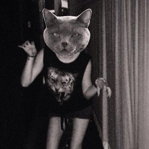 Aye:3 
•cats
•Marina and the Diamonds
•boyfriend
•waves
•music
•free will and free spirit \m/