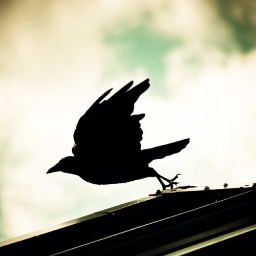 mgno0onh's profile picture. هنآاااك .. بعيد وآيدآااات ♥¡