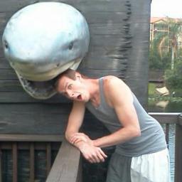 Milton__James's profile picture. I'm not normal or perfect but the point is I am growing allong spiritual lines