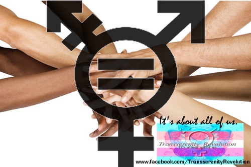 Transserenity's profile picture. We Are Done Pretending. This is about Real People, Real Issues, and Advocating for the full equality of Transgender Identity in Public Society.