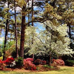 HOWNeighborhood's profile picture. Building community, raising awareness, and keeping people connected in the Hamptons and Old Woodlands Neighborhood.