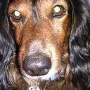 dee staggs - @dollyjay28 - Twitter