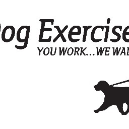 Dog walking service. Specialising in off leash dog hikes over cannock chase.