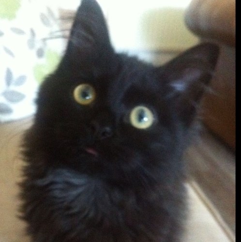 delmo73's profile picture. 