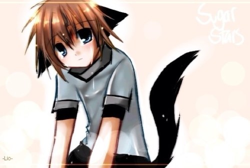 I like food and bands and food #Neko #Vampire #rp i like to be dominated by girls.