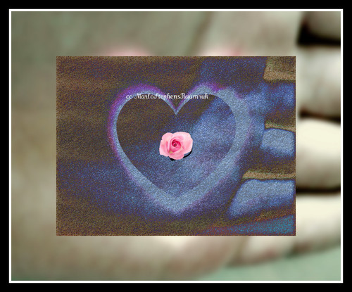 DD's Art Cards and Things..one of a kind photo art cards..never boring..always finding something cool/unique for your messages!
