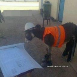 lenrique256's profile picture. 