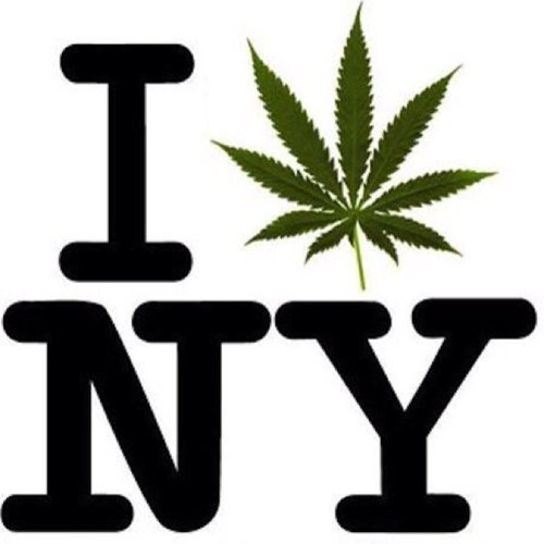 newyorkstoner Profile Picture