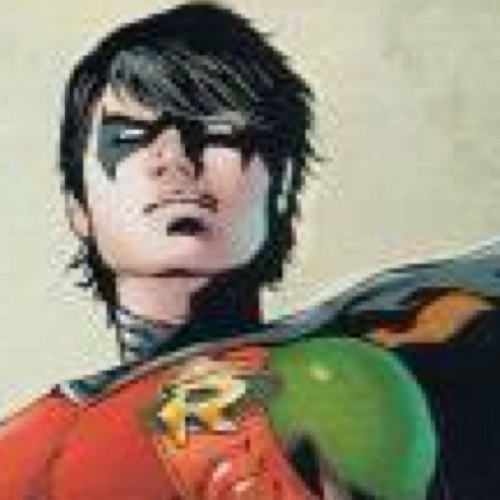 TheFirstRobin Profile Picture