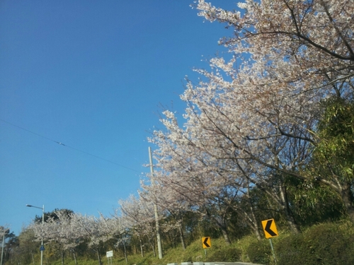 dysung53's profile picture. 