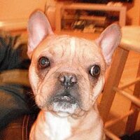 sleepy (@kuhl_hand_luke) 's Twitter Profile