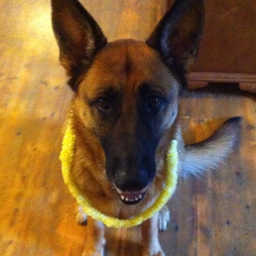 C8_Flood's profile picture. 