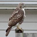 Mrsun - @eric_sundquist - Twitter