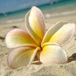 gutierrez_agnes's profile picture. 