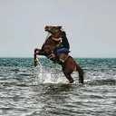 ''لأمي جنتي'' (@22_f6ees) Twitter