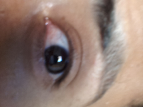 raphapara's profile picture. anti-fascist, anti-neonazista, sommelier de tretas (Deus, Pátria, Família e muita putaria)