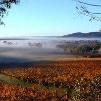 Pyrenees Winemaker (@pyreneeswines) 's Twitter Profile