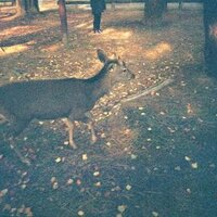 장경진 (@kj2sky) 's Twitter Profile