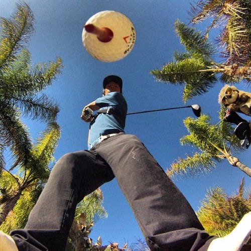 KingVillanova's profile picture. Don't take life too seriously; nobody has made it out alive.