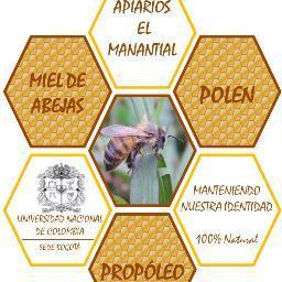 ApiariosMananti's profile picture. 