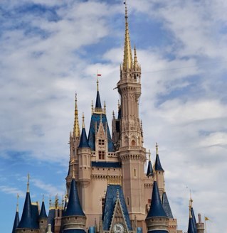 kimcat1's profile picture. 