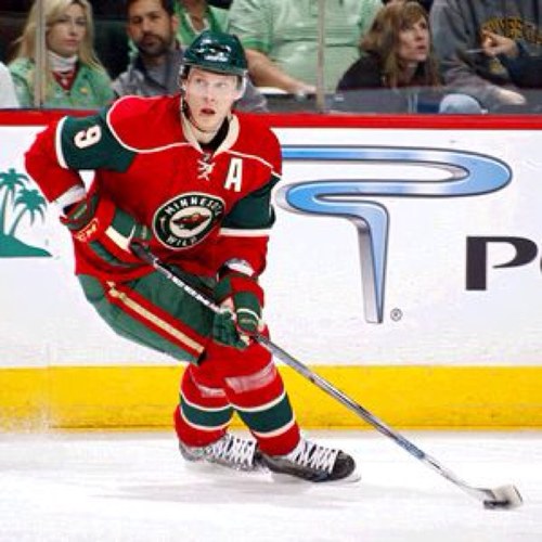 Proud fan of the Minnesota Wild