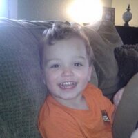 Donna Shepherd (@shepherddn) 's Twitter Profile