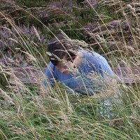 James Ah (@james651989) 's Twitter Profile