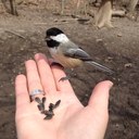 Karen Broad - @kjbdab - Twitter