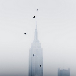 excelacademyrp's profile picture. @excelacademyrp┊ base account┊w e l c o m e !