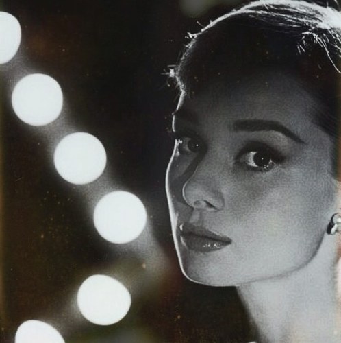 moschinocherry's profile picture. media/information junkie and avocado enthusiast