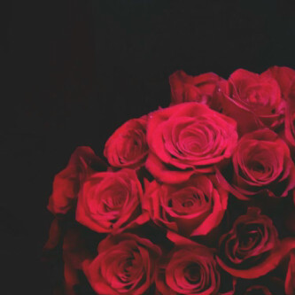 ‏كن قـآرئـاً [ للقـرآن ] فقآرئ القرآن لَا يشكو هماً، و لَا غماً، و لَا ضيقَاً، و لَا ضجرَاً ♡